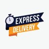 express-delivery-label-sign-for-banner-promotion-illustration-vector